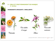 Etude de marché